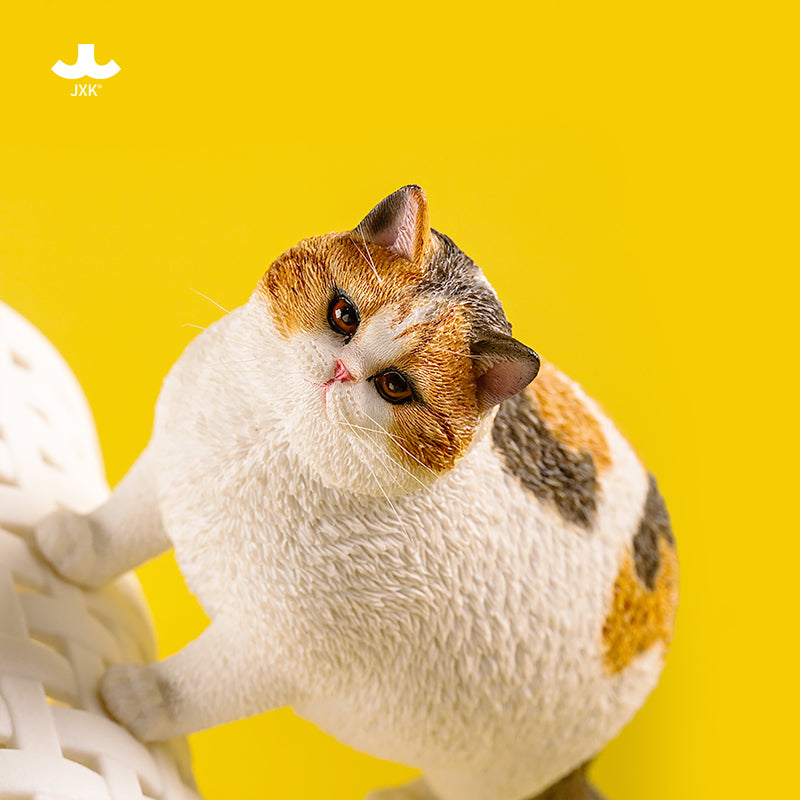 JXK ふと猫