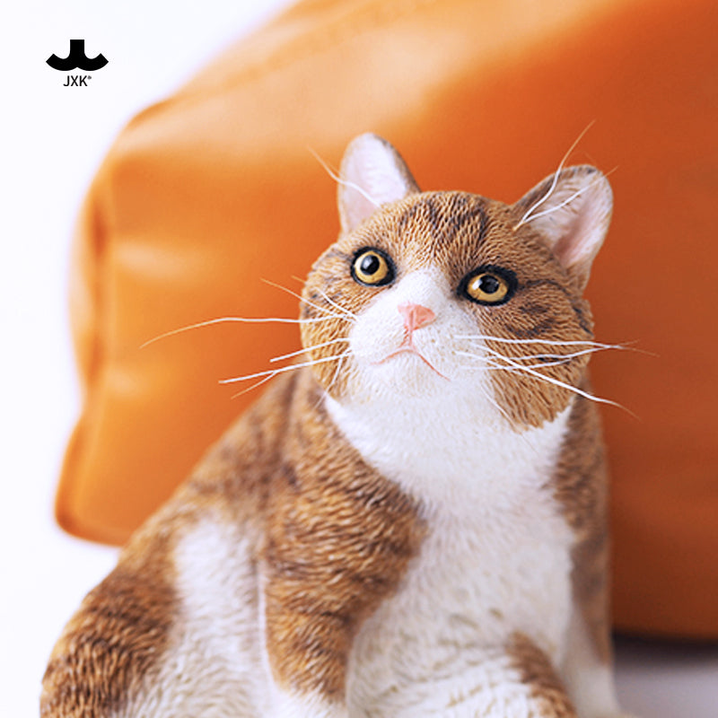 JXK 055 1/6 怠け猫3.0 ミケ猫 JXK Studio出品