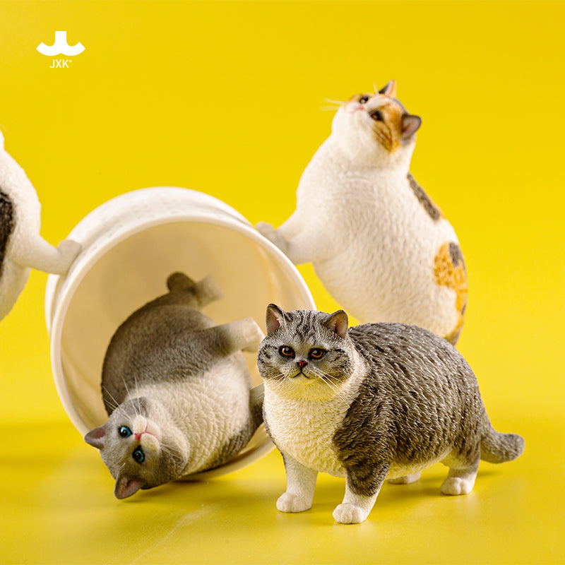 JXK ふと猫
