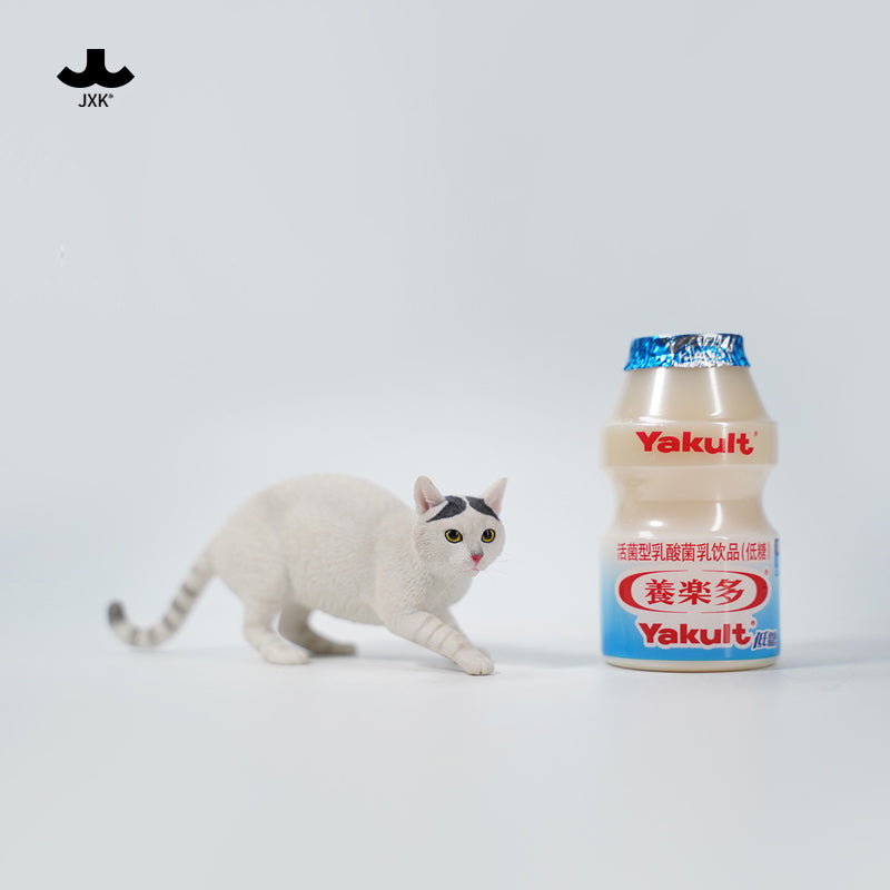 JXK 179 1/6 中華田園猫3.0 JXK Studio出品