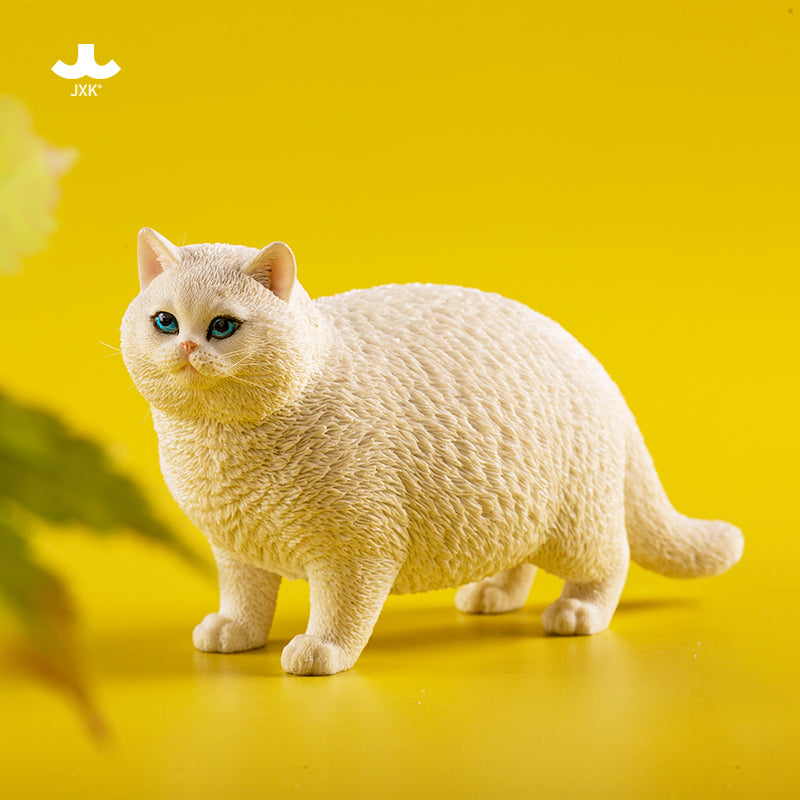 JXK ふと猫