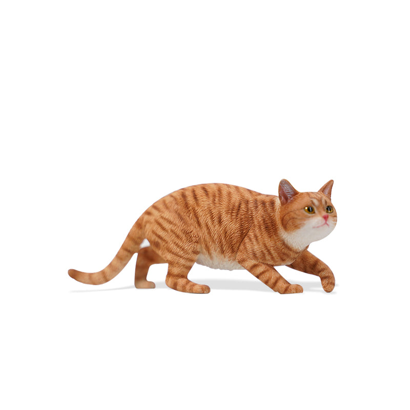 JXK 179 1/6 中華田園猫3.0 JXK Studio出品