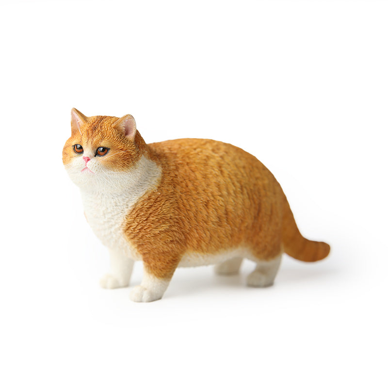 JXK ふと猫