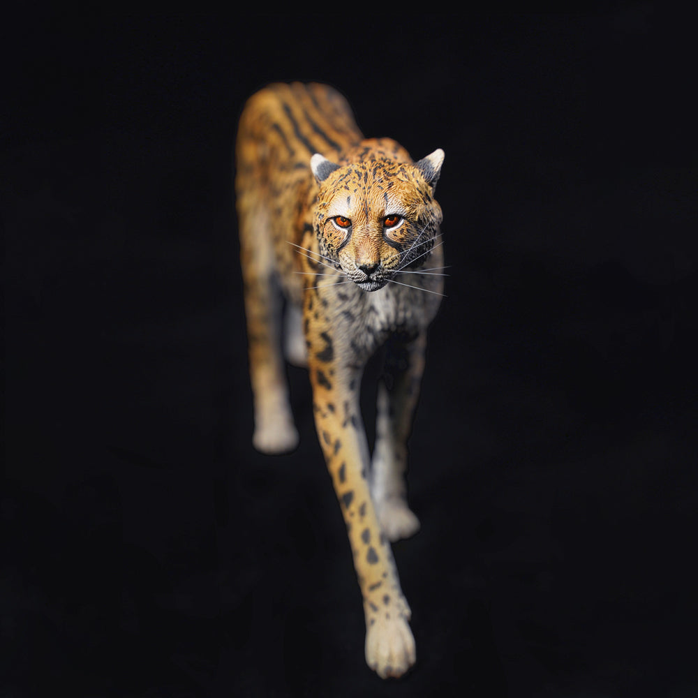 JXK 116 キングチ一タ一 from JXK Studio