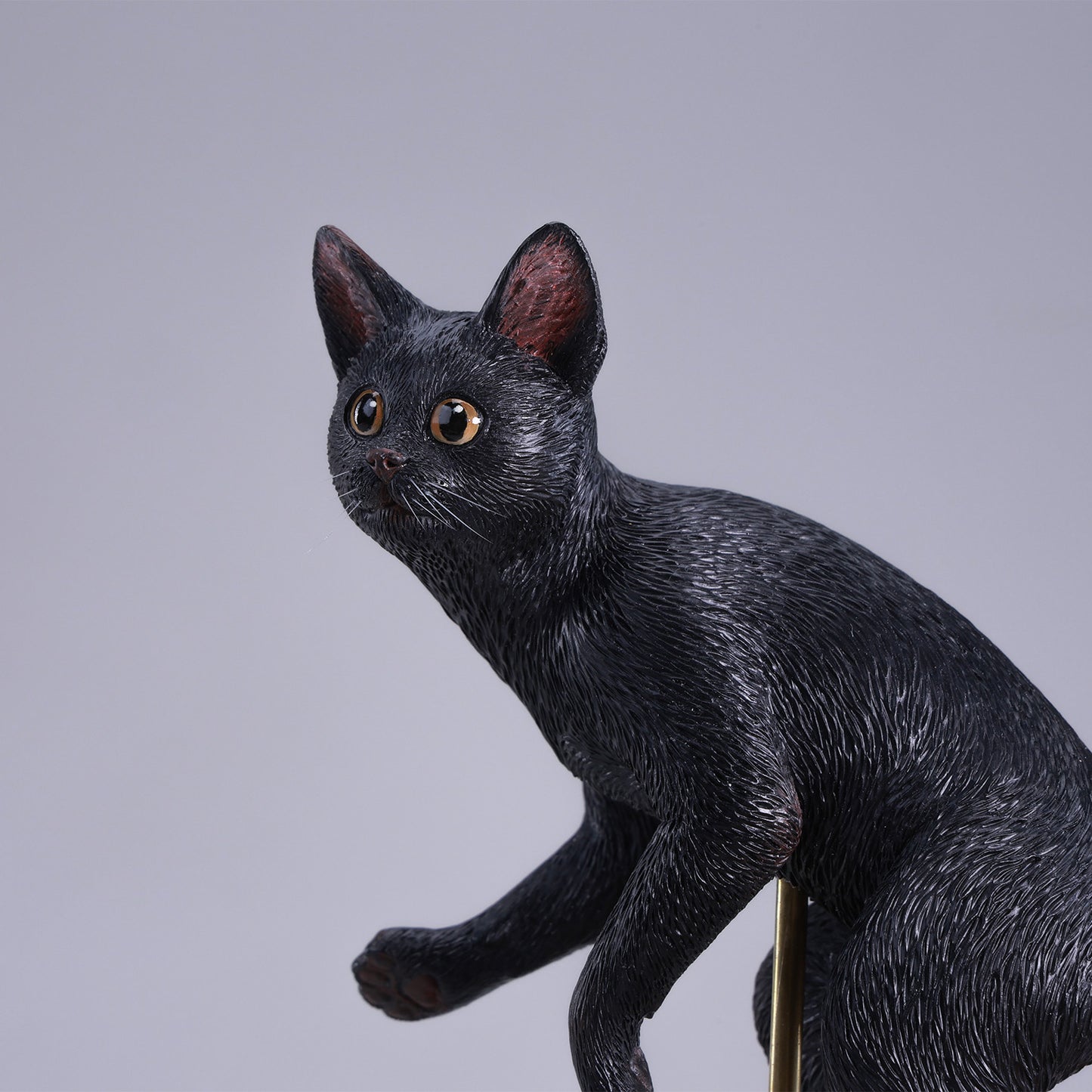 JXK309 ぱちゃぱちゃ猫 【予約】 JXK Studio出品