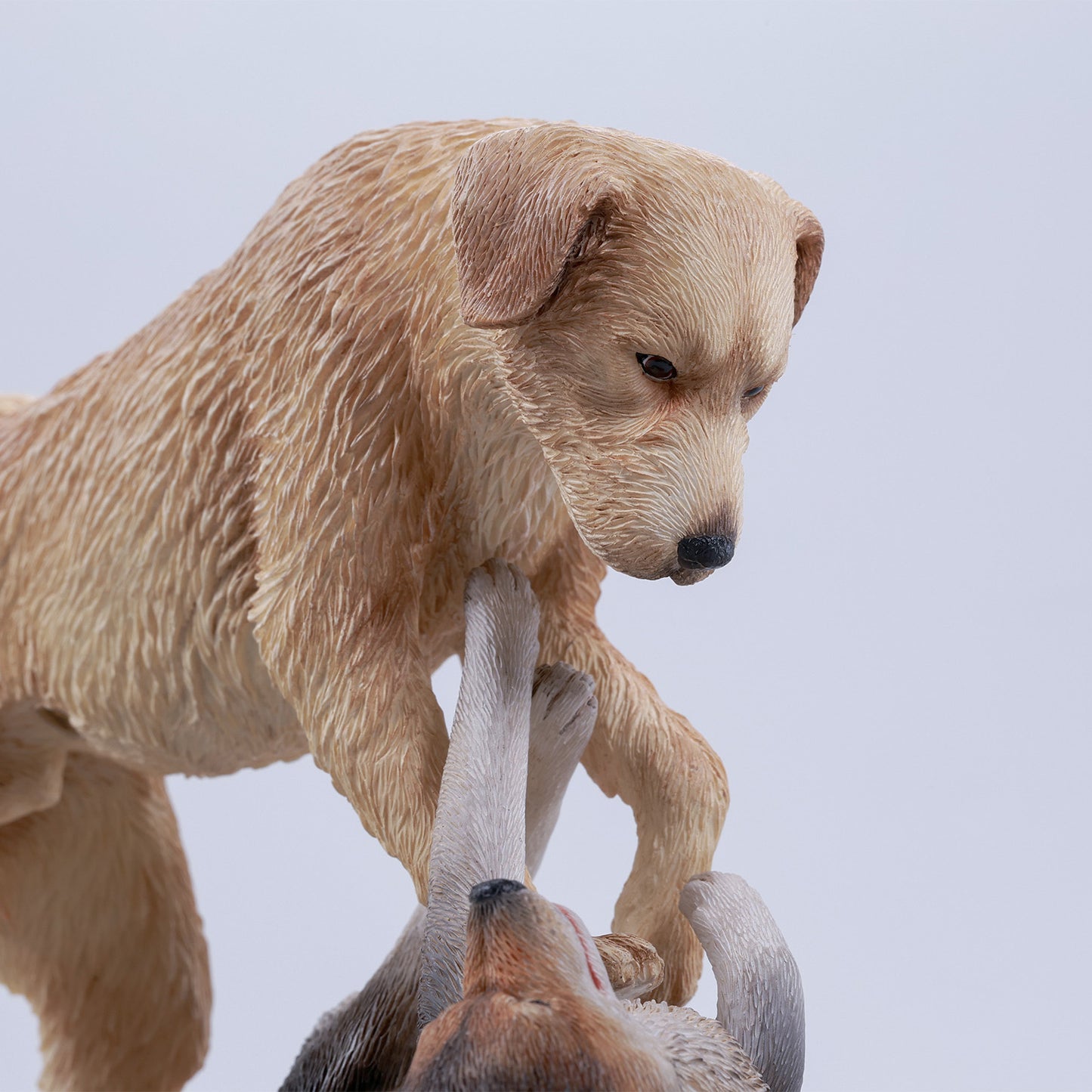チャールズ犬王