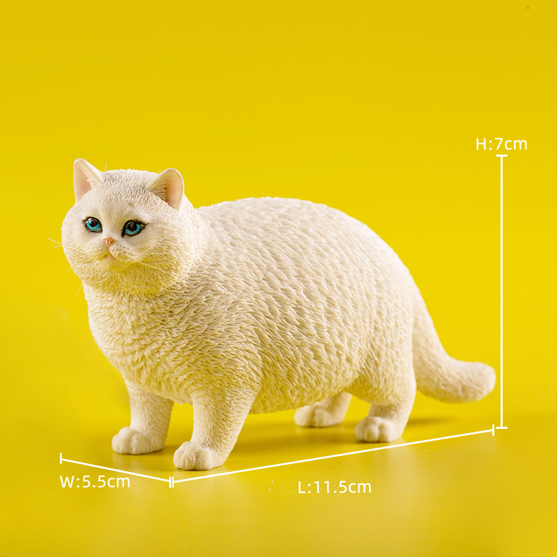 JXK ふと猫