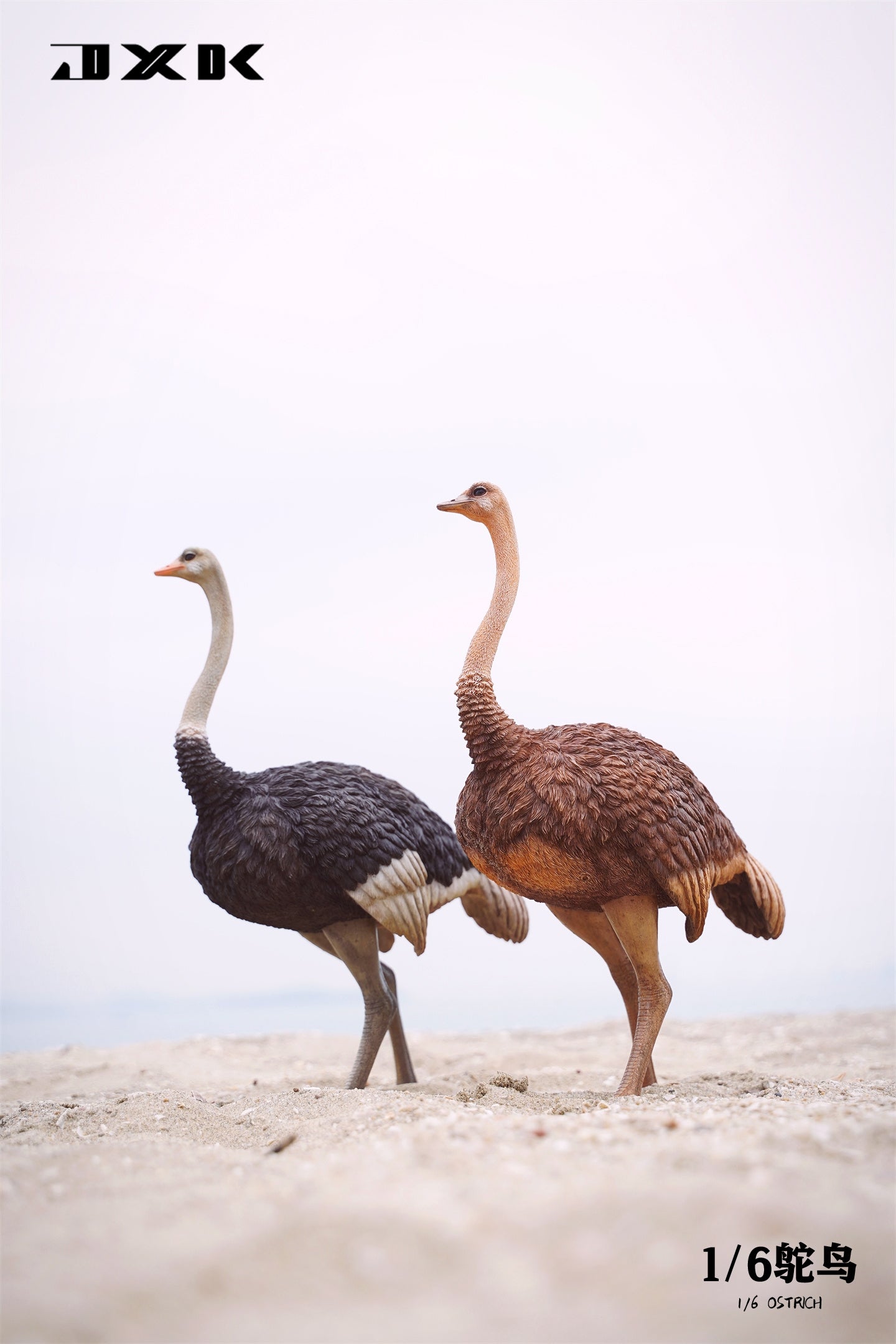 JXK 097 1/6 ダチョウ JXK Studio出品