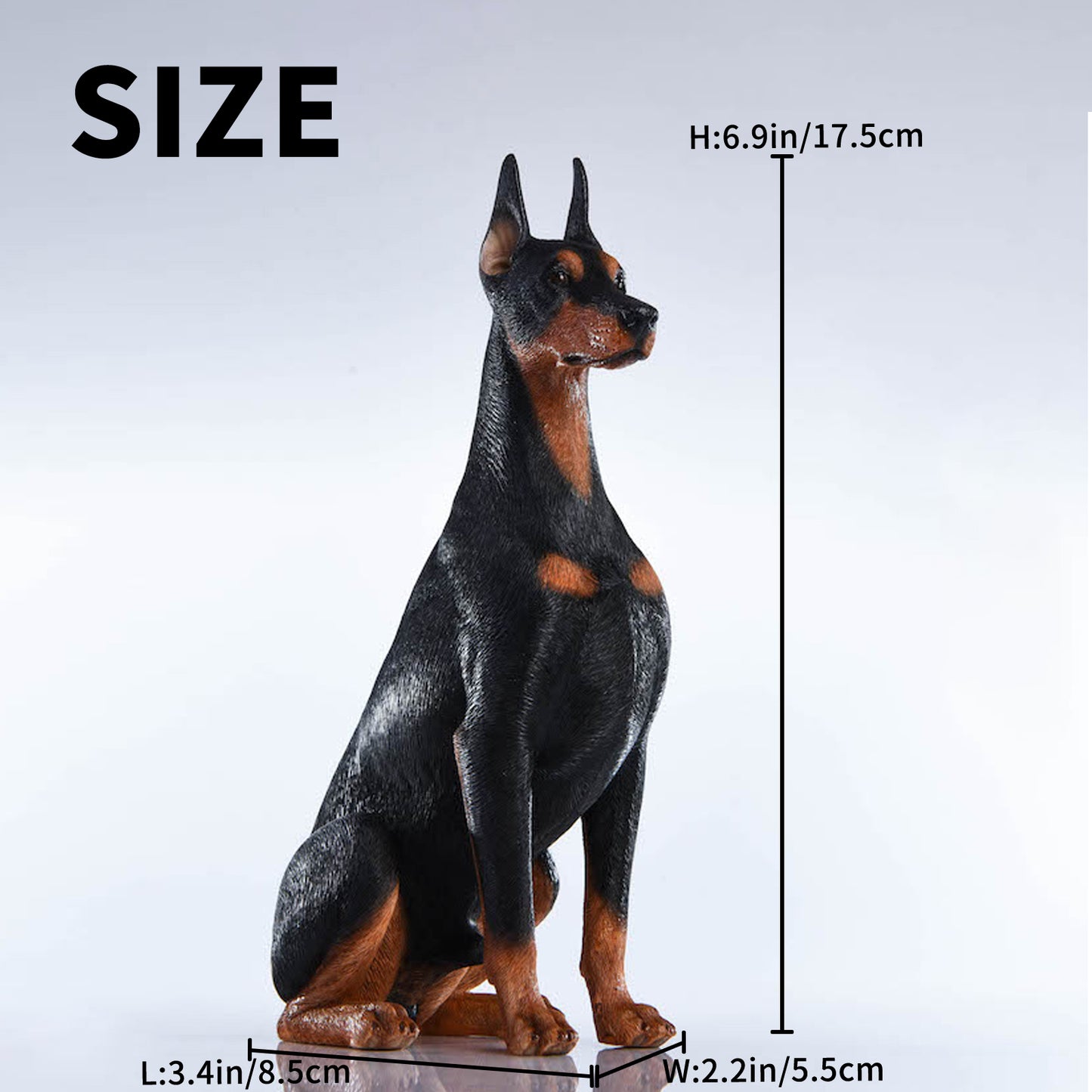 JXK 004 1/6 趴姿&坐姿杜宾犬 JXK Studio出品