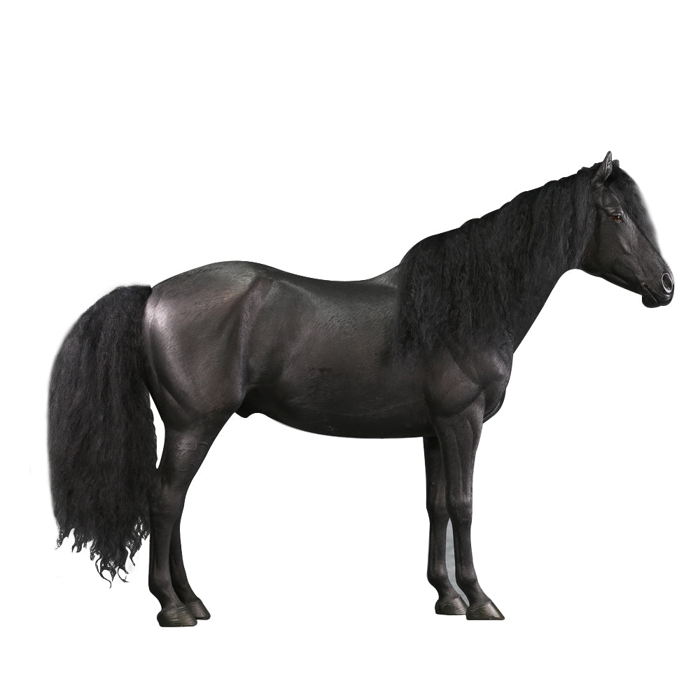 Mr.Z 1/6 サラブレッド Mr.Z056 JXK Studio出品