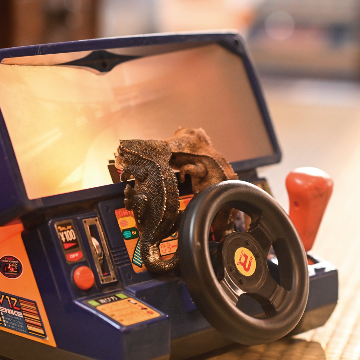 JXK199 1/1 オウカンミカドヤモリ JXK Studio出品