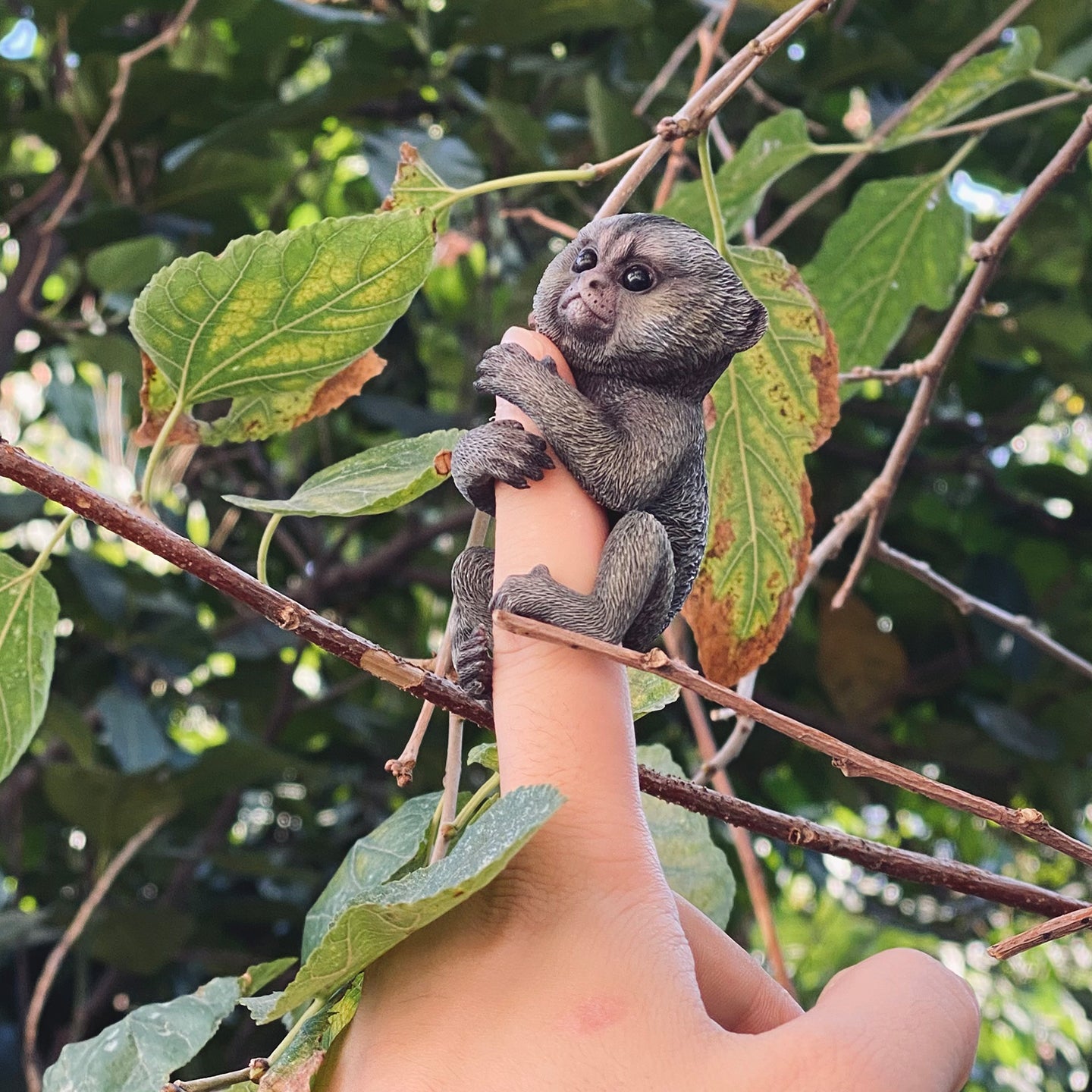 JXK 155 1/1 コモンマーモセット JXK Studio出品