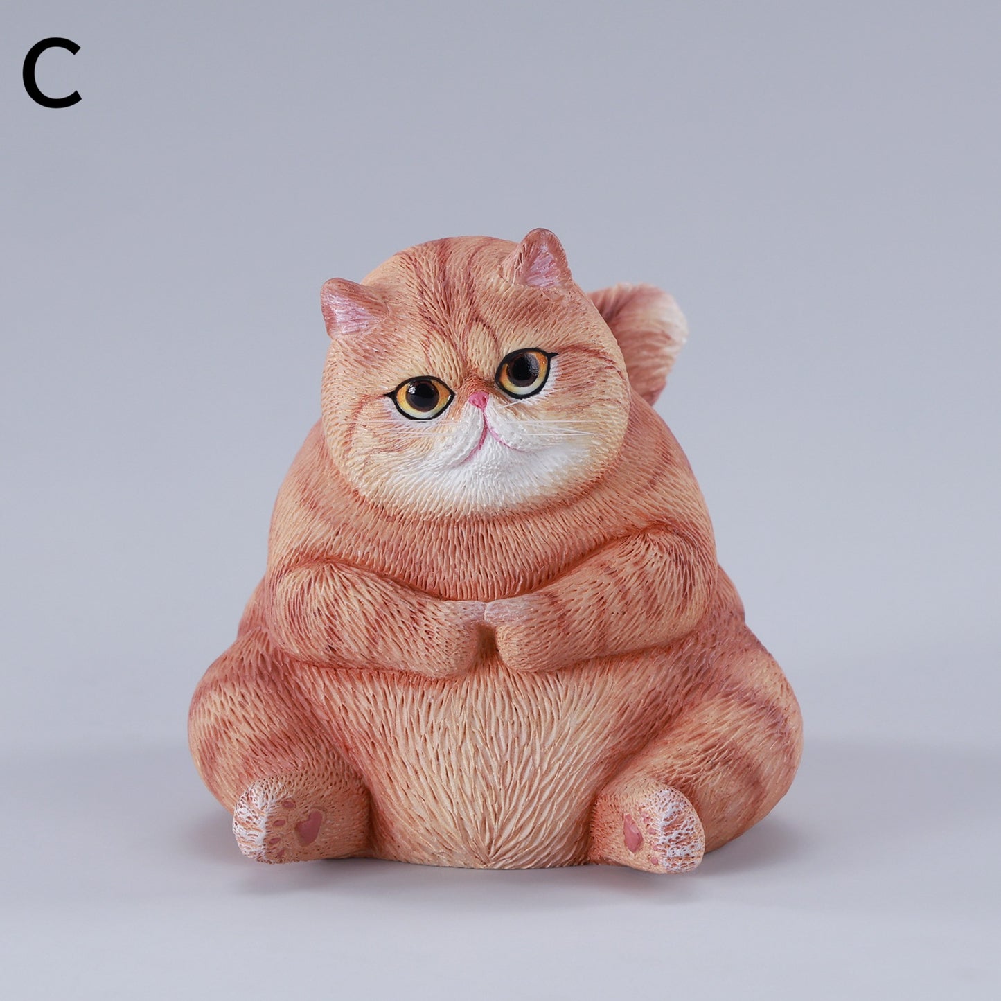 団子猫 JXK291
