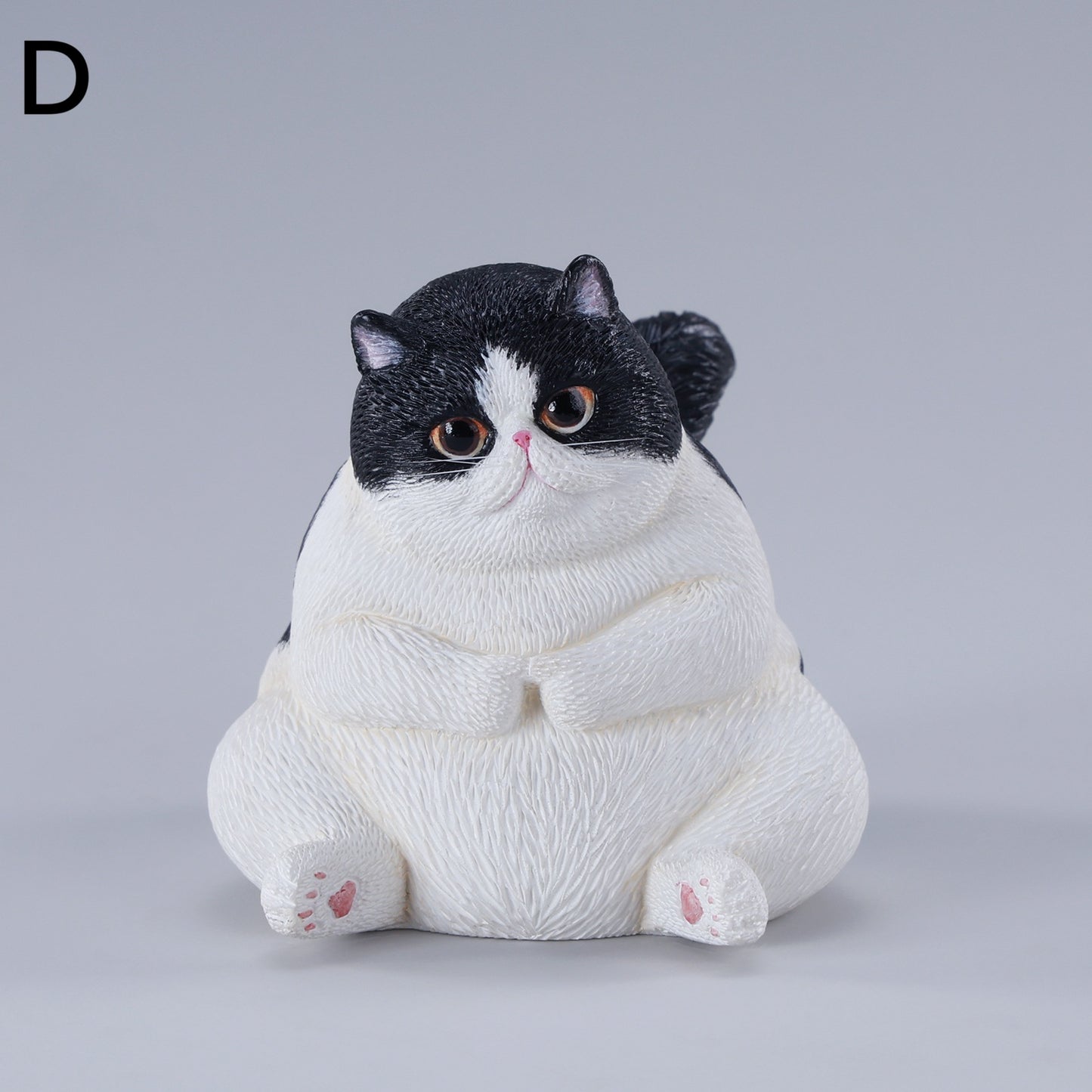 団子猫 JXK291