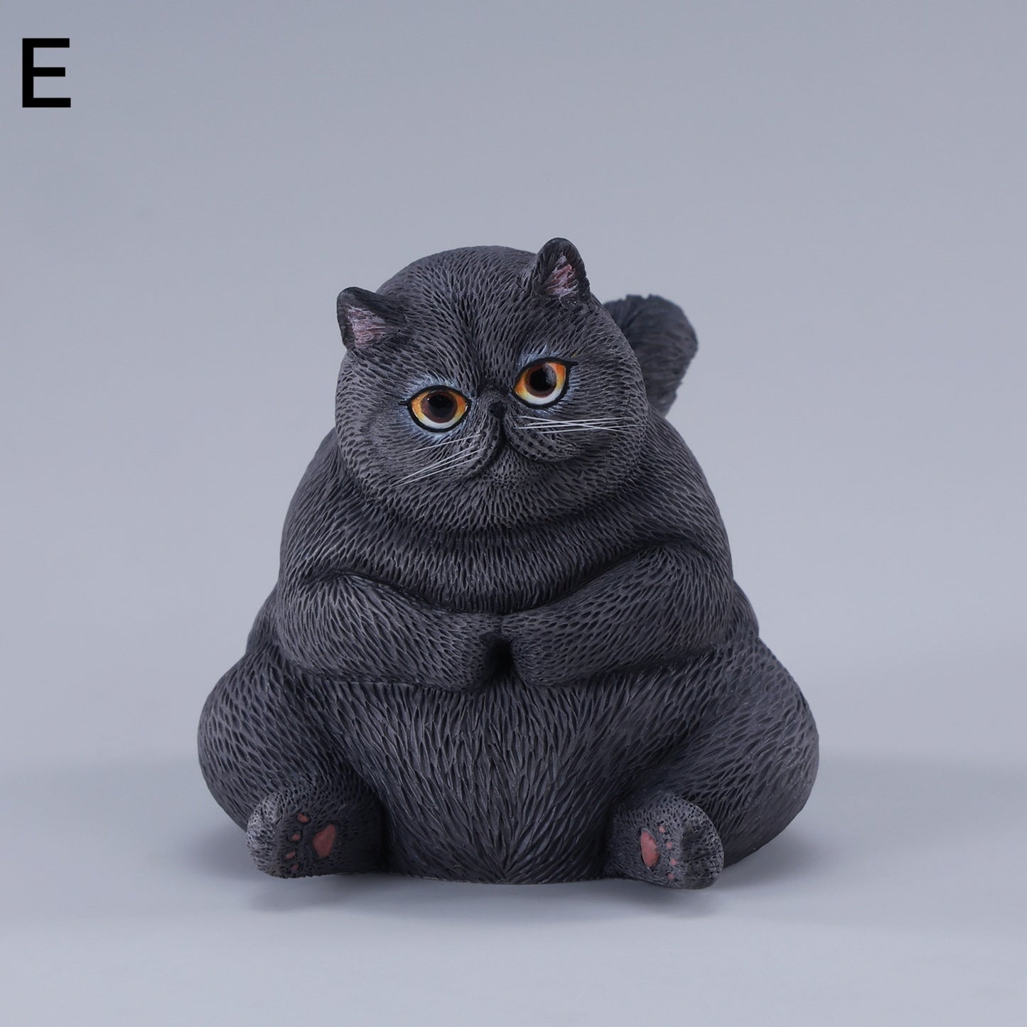 団子猫 JXK291
