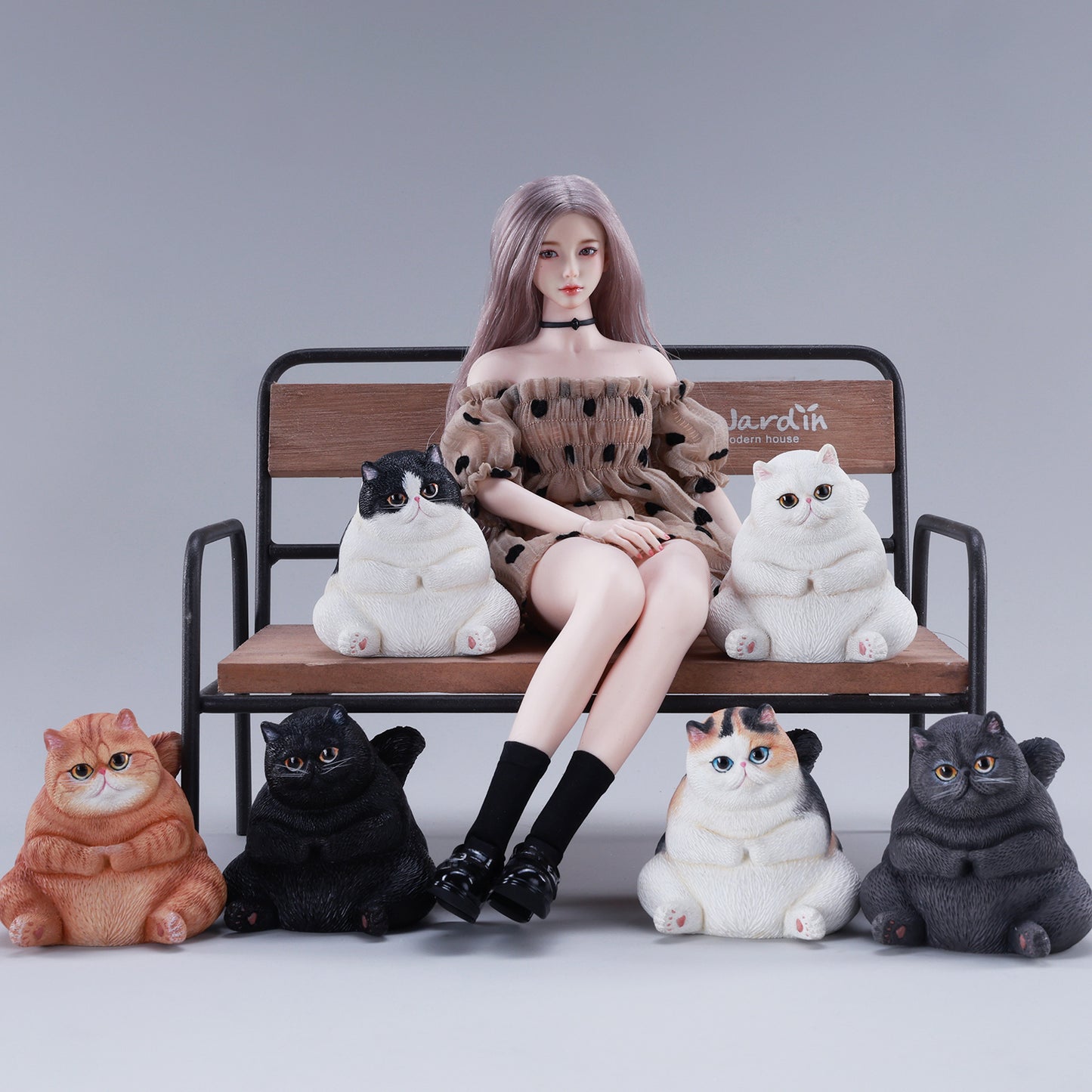 団子猫 JXK291