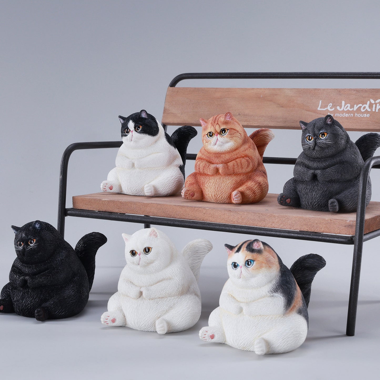 団子猫 JXK291