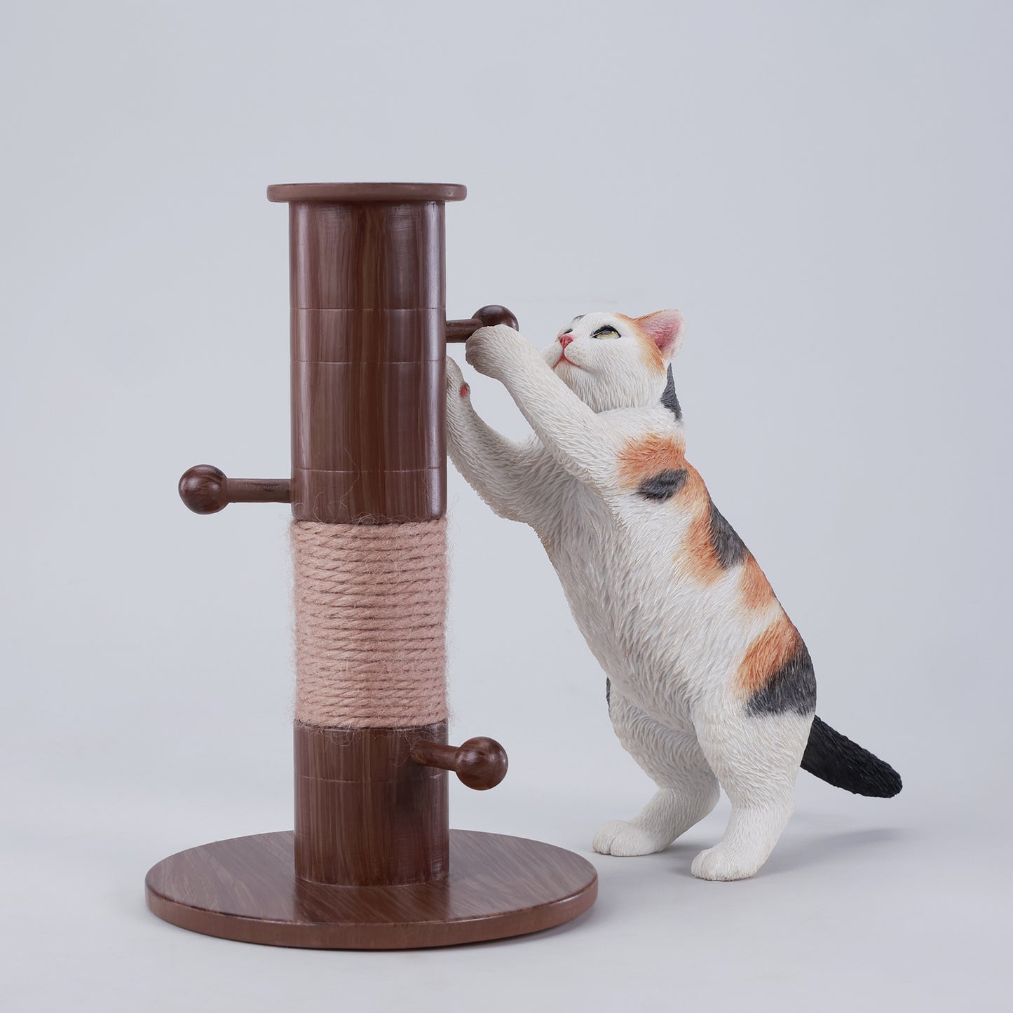 カンフーキャット JXK306