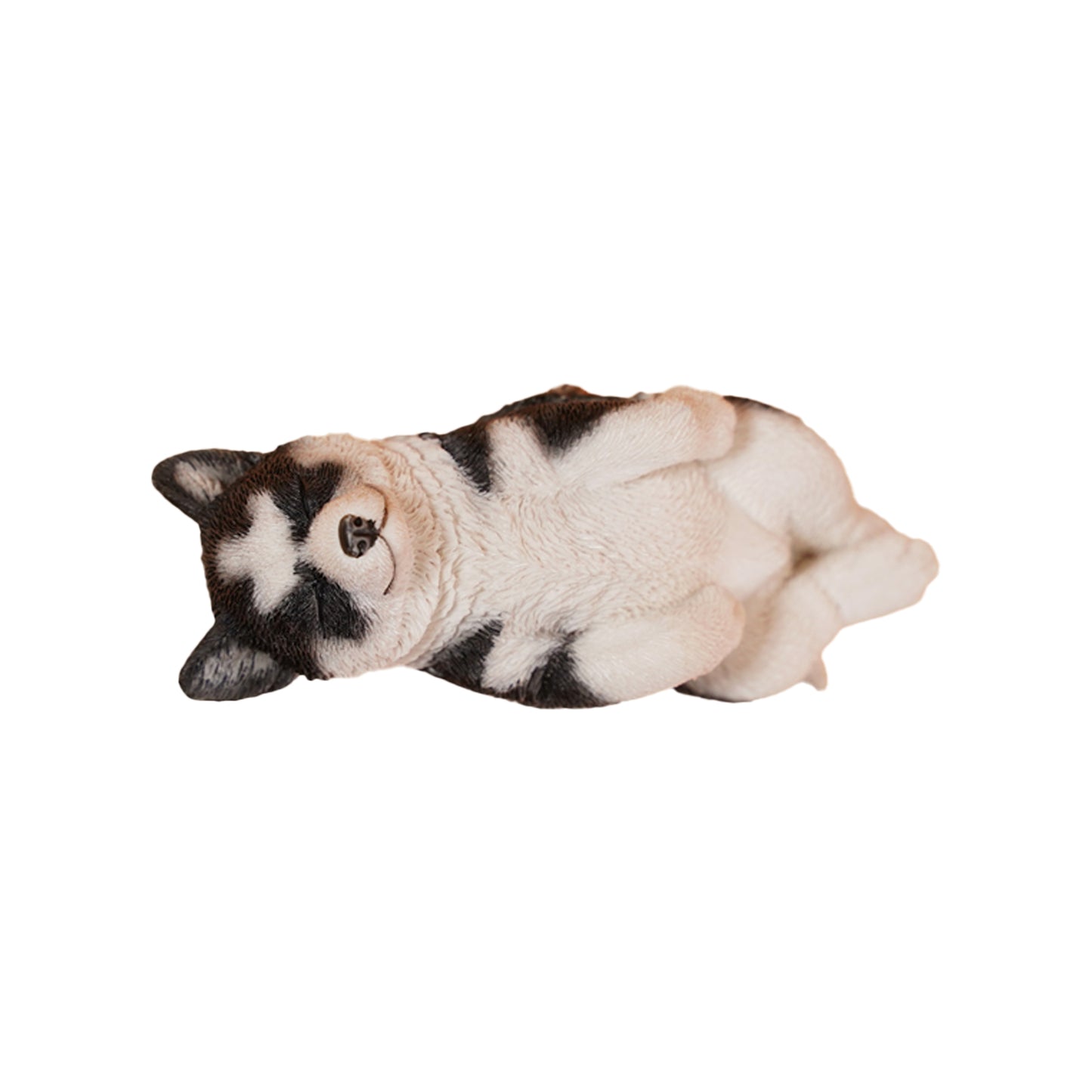 JXK&small JS2209 幼いハスキー JXK Studio出品