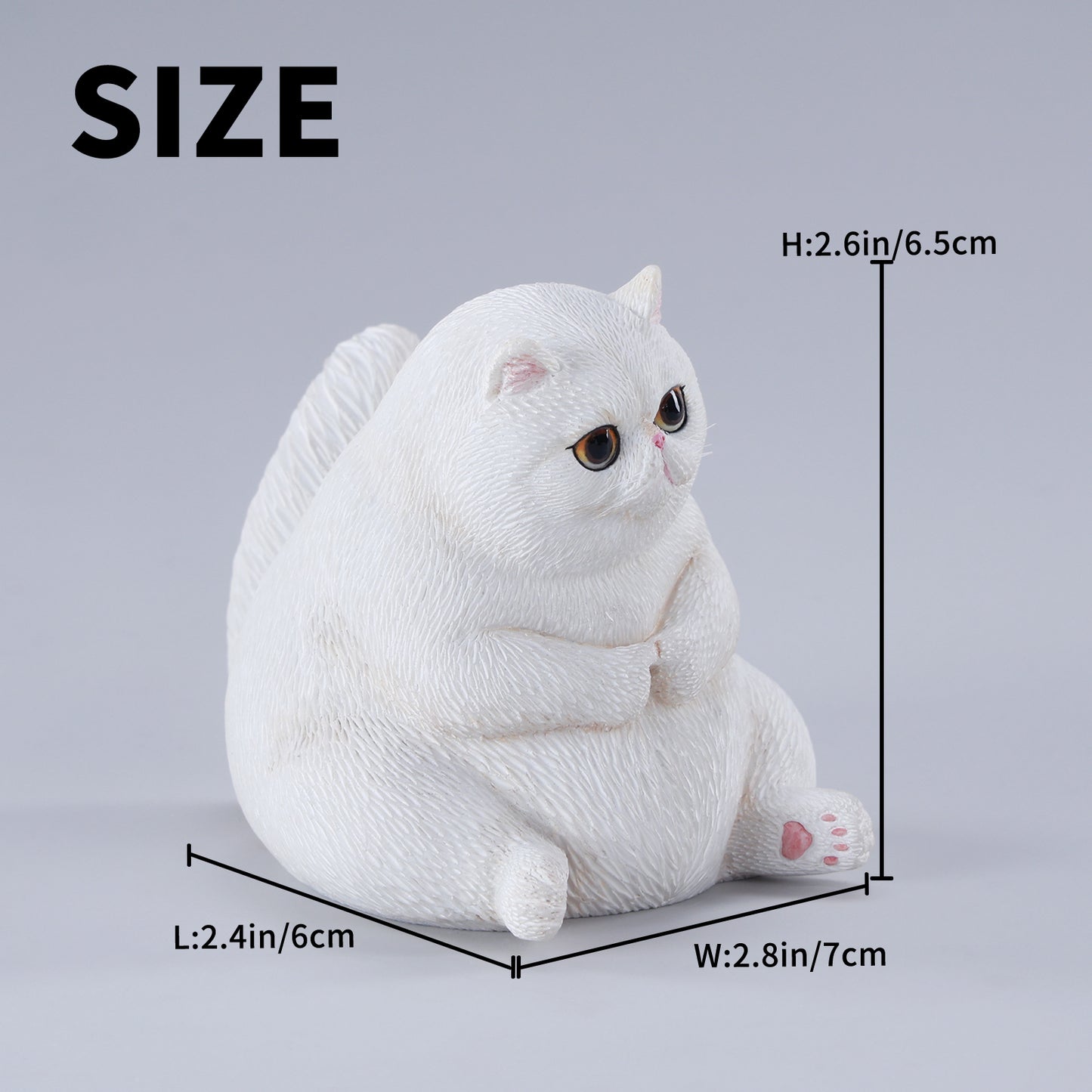 団子猫 JXK291