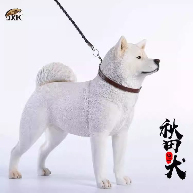JXK Akita