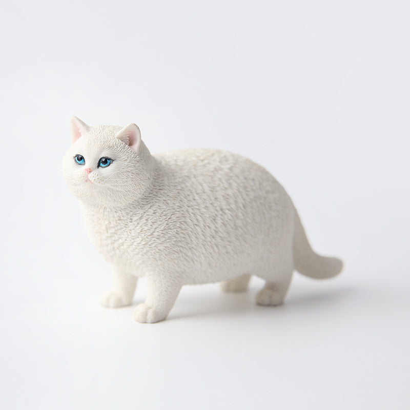 JXK ふと猫