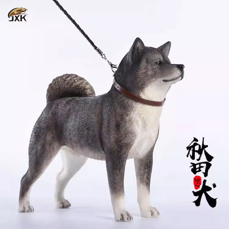 JXK Akita