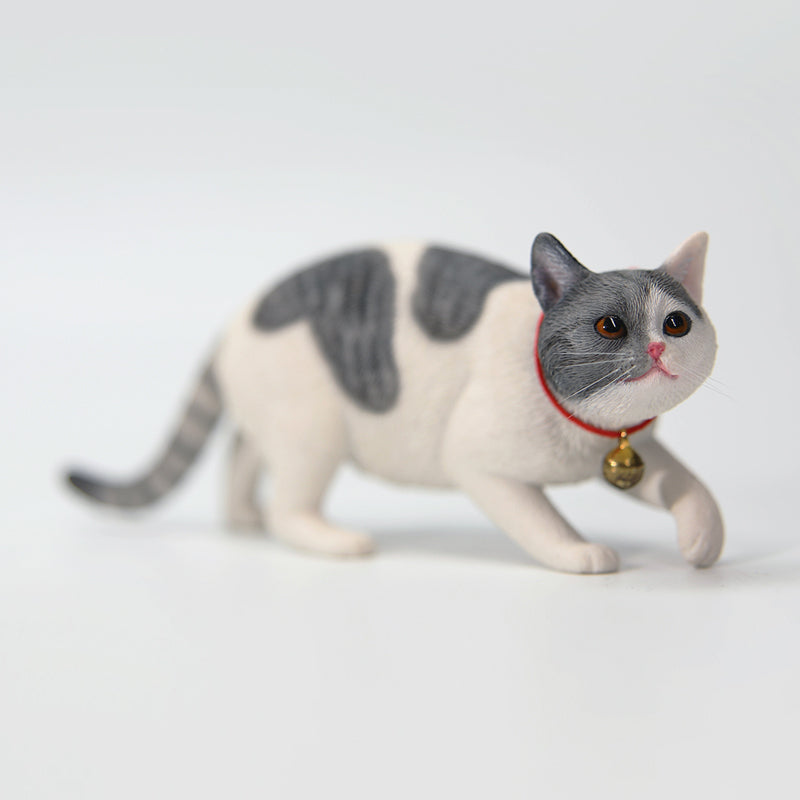 JXK 179 1/6 中華田園猫3.0 JXK Studio出品