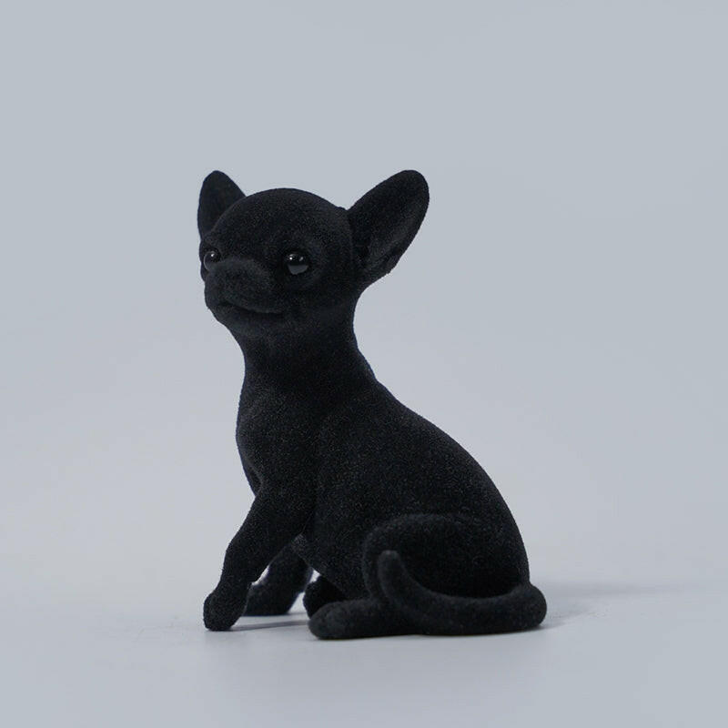 JXK2034 チワワ Chihuahua