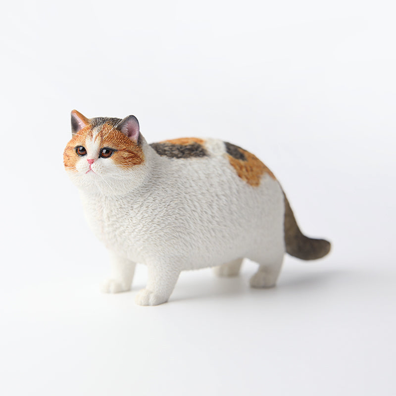 JXK ふと猫