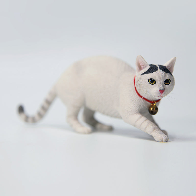 JXK 179 1/6 中華田園猫3.0 JXK Studio出品