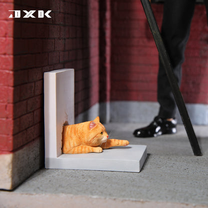 JXK wall over the cat