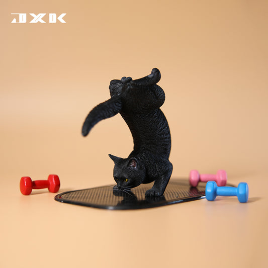 JXK ヨーガ猫2.0 