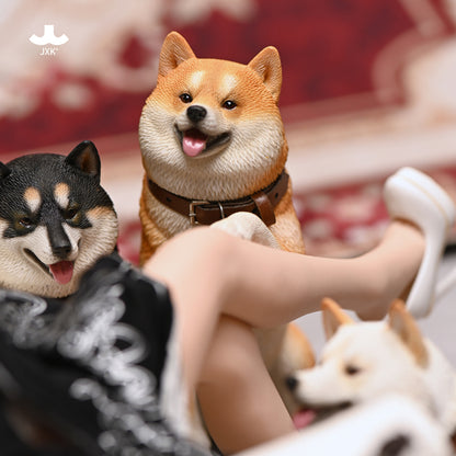 JXK Shake Hands with Shiba Inu