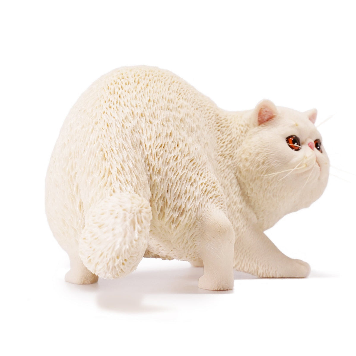 Mr.Z MRZ039 1/6 エキゾチックショートヘア 樹脂フィギュア（全6種） 商品画像
