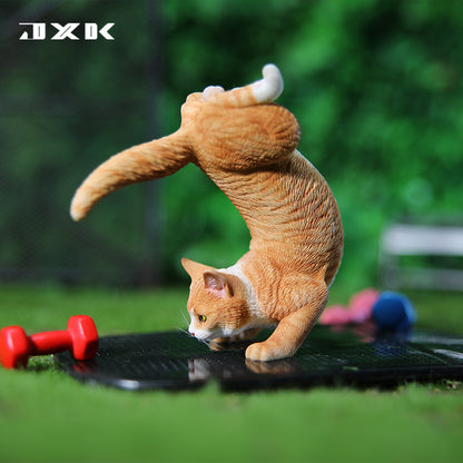 JXK Yoga Cat 2.0