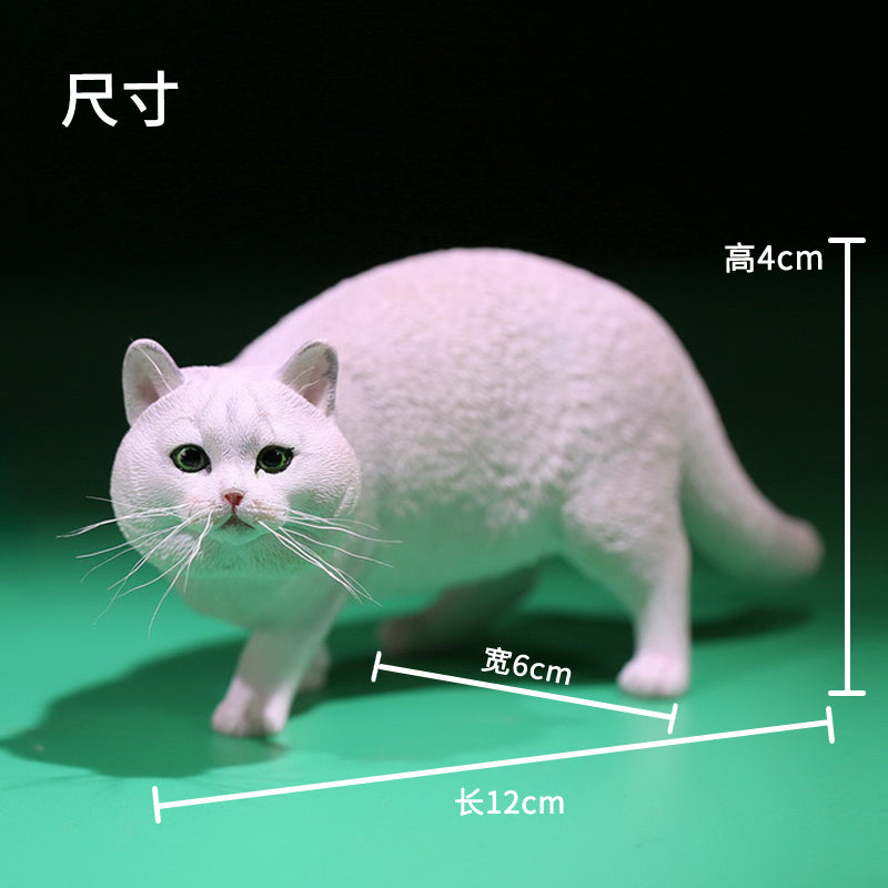 Mr.Z MRZ040 1/6 ブリティッシュショートヘア 樹脂フィギュア（全6種） 商品画像