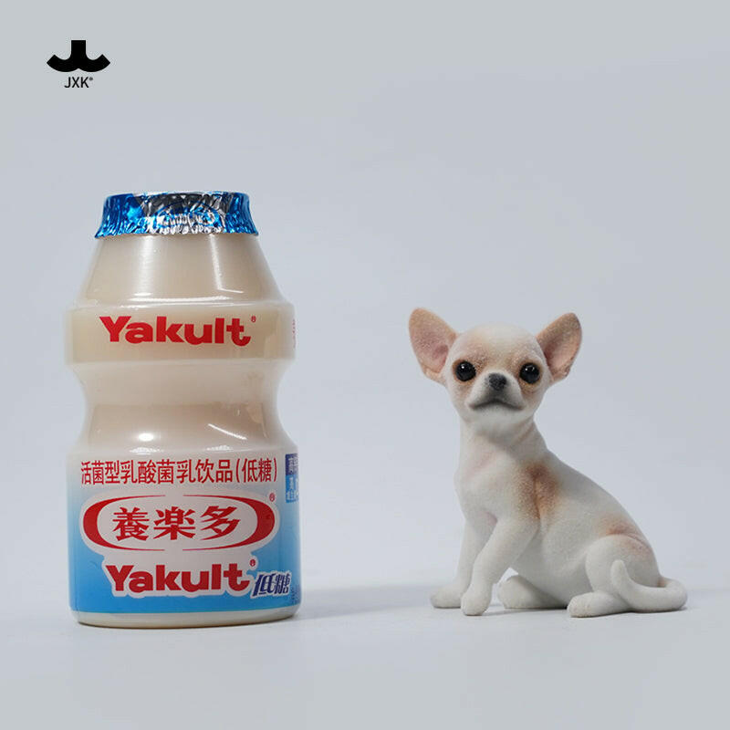 JXK2034  チワワ  Chihuahua