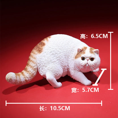 Mr.Z MRZ039 1/6 エキゾチックショートヘア 樹脂フィギュア（全6種） 商品画像