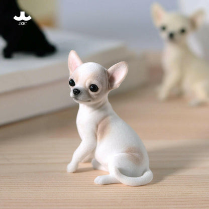 JXK2034  チワワ  Chihuahua