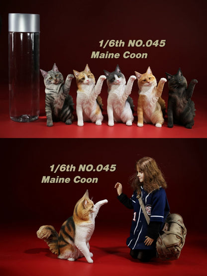 Mr.Z MRZ045 1/6 メインクーン 樹脂フィギュア（全5種） 商品画像