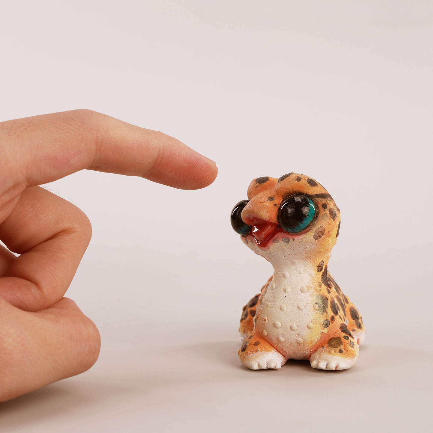 JXK-R2506  ヒョウモントカゲモド 【予約】  JXK Studio出品