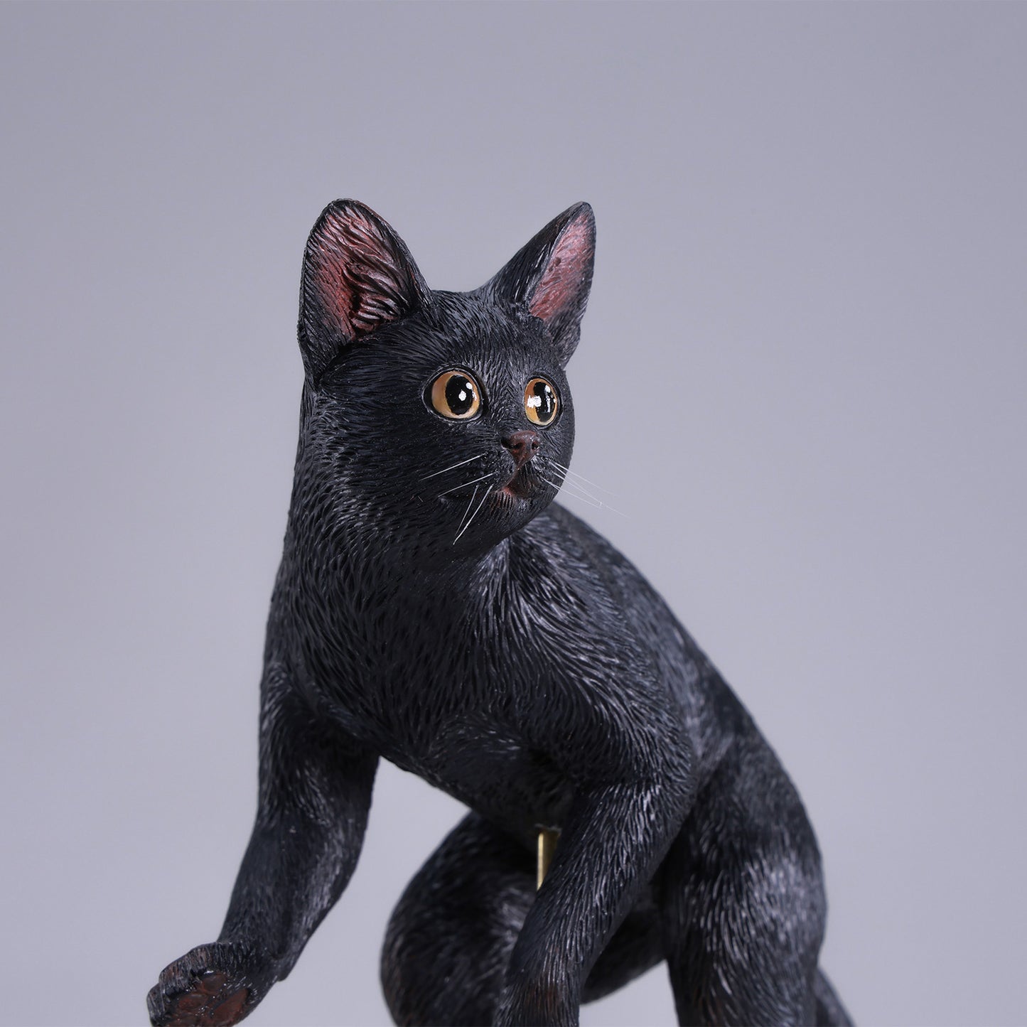 JXK309　ぱちゃぱちゃ猫　【予約】　JXK Studio出品