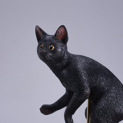JXK309　ぱちゃぱちゃ猫　【予約】　JXK Studio出品