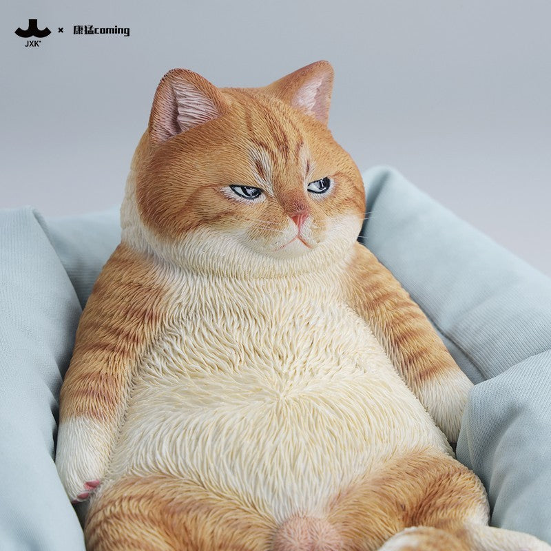 JXK353 午後のまったり猫