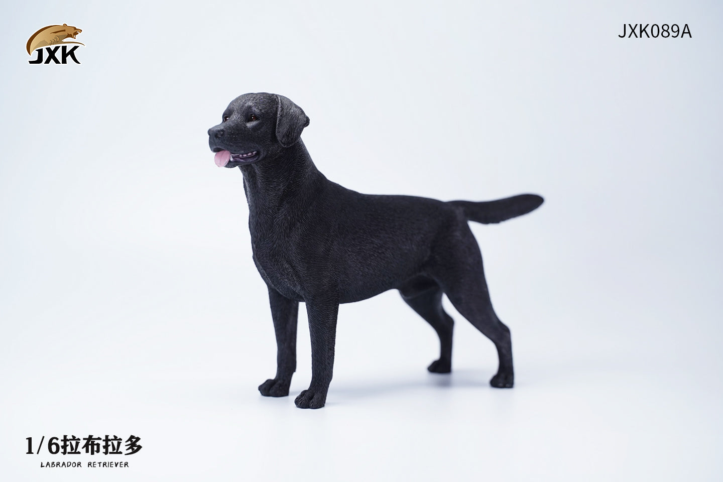 JXK 089 1/6 Labrador