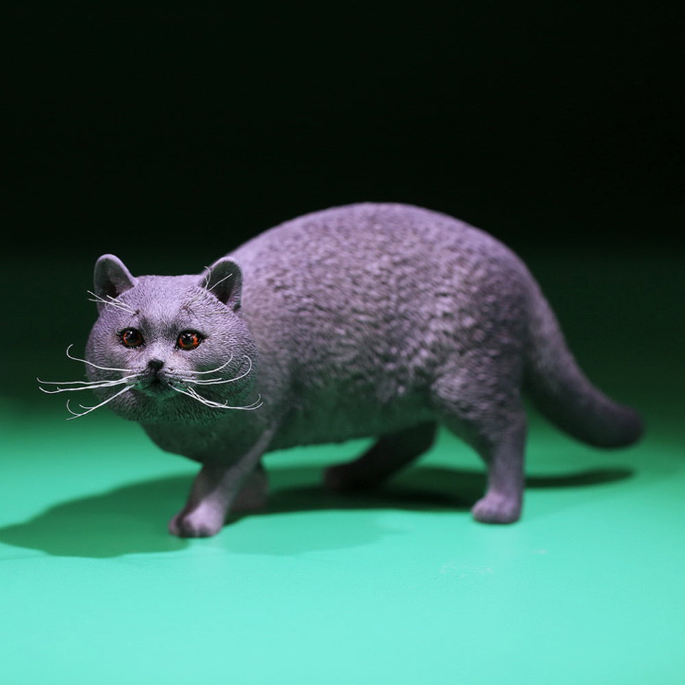 Mr.Z MRZ040 1/6 ブリティッシュショートヘア 樹脂フィギュア（全6種） 商品画像