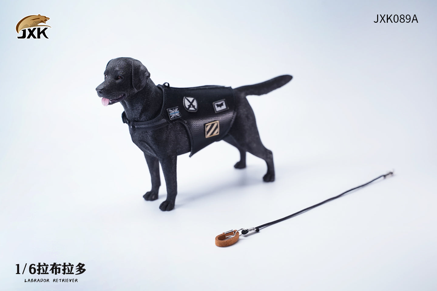 JXK 089 1/6 Labrador