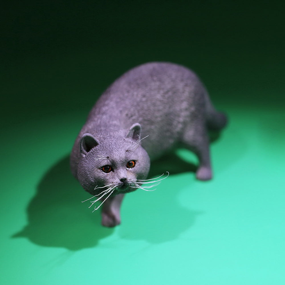 Mr.Z MRZ040 1/6 ブリティッシュショートヘア 樹脂フィギュア（全6種） 商品画像