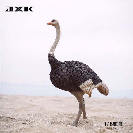 JXK 097	1/6 ダチョウ